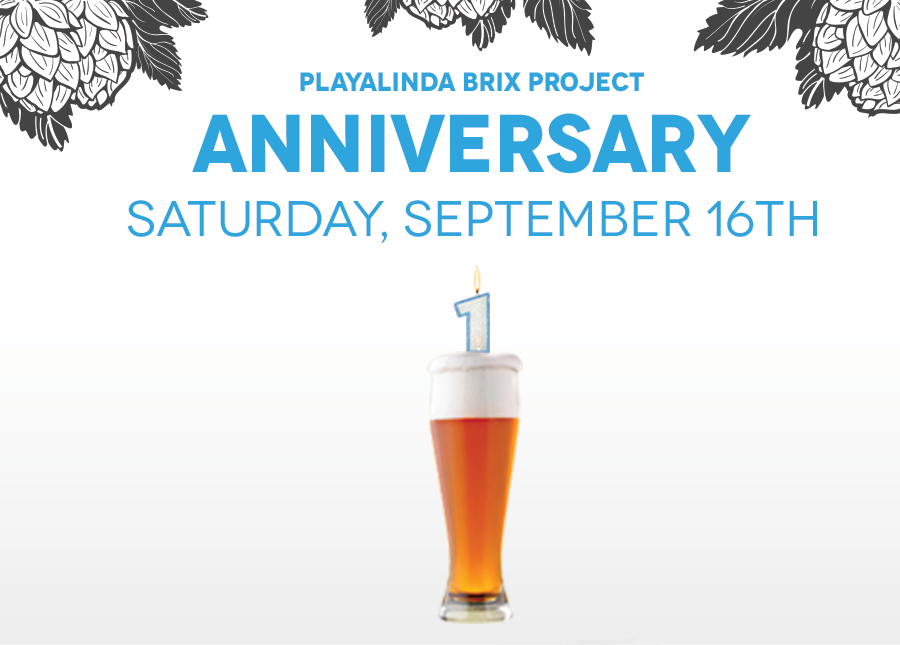 Brix Project One Year Anniversary